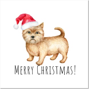 Cute Norwich terrier , Christmas dog Posters and Art